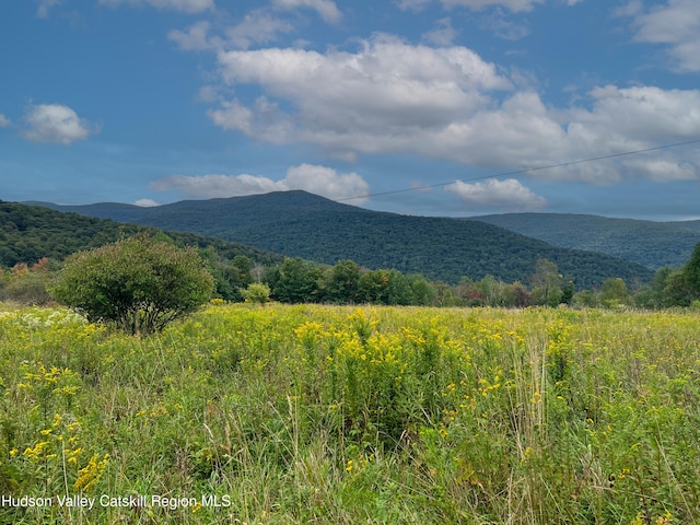 LOT4 Fairbairn Rd, Margaretville, NY 12455 - photo 10