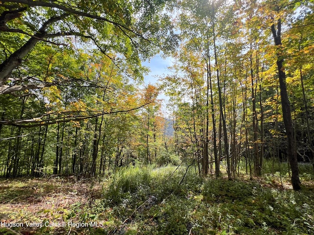 LOT4 Fairbairn Rd, Margaretville, NY 12455 - photo 11