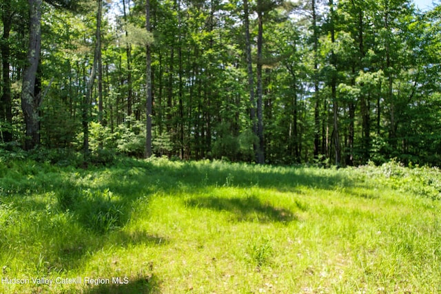 1604 Spruceton Rd, West Kill, NY 12492 - photo 5