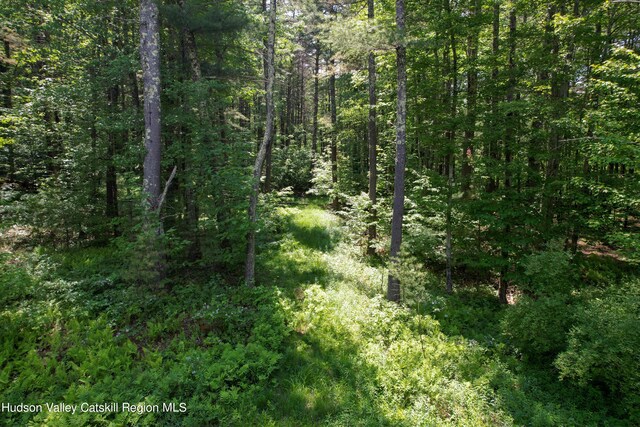 1604 Spruceton Rd, West Kill, NY 12492 - photo 4