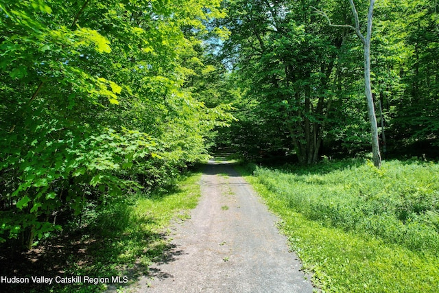 1604 Spruceton Rd, West Kill, NY 12492 - photo 15