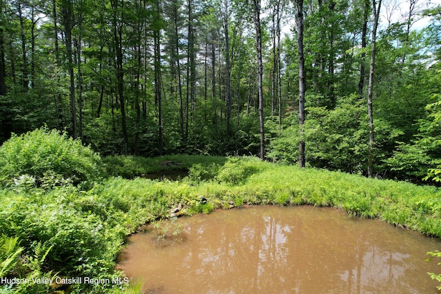 1604 Spruceton Rd, West Kill, NY 12492 - photo 3