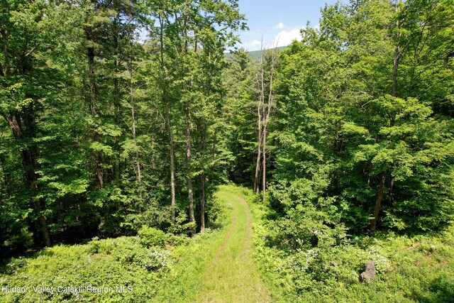 1604 Spruceton Rd, West Kill, NY 12492 - photo 14