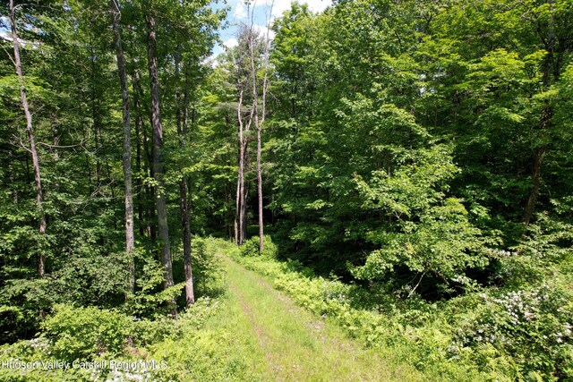 1604 Spruceton Rd, West Kill, NY 12492 - photo 2