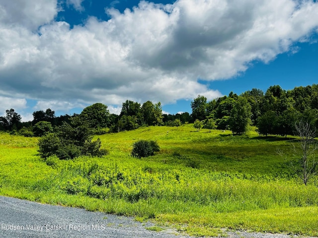 LOT4 Westerly Ridge Dr, Amenia, NY 12501