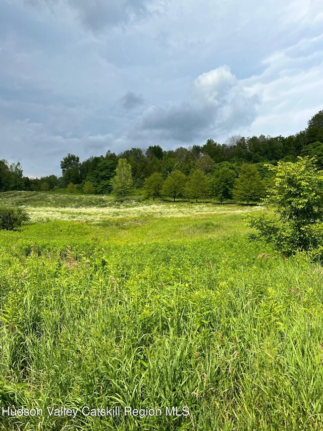 LOT4 Westerly Ridge Dr, Amenia, NY 12501