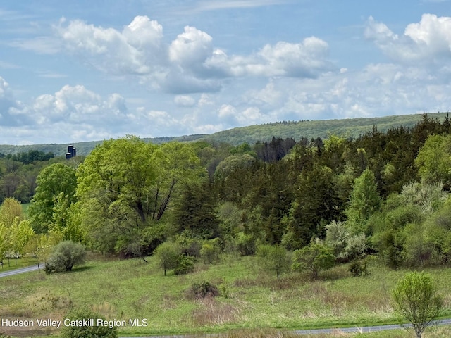 LOT4 Westerly Ridge Dr, Amenia, NY 12501