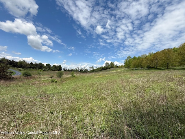 LOT4 Westerly Ridge Dr, Amenia, NY 12501