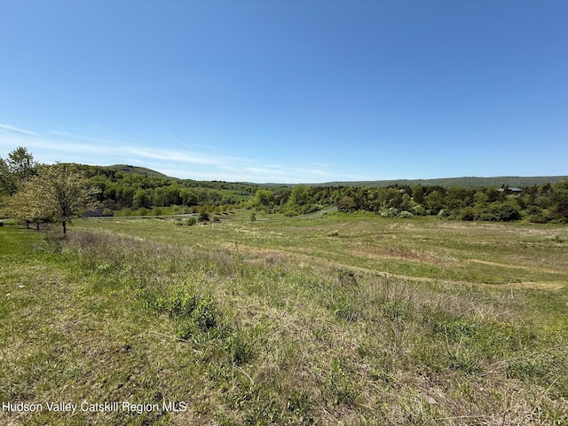 LOT4 Westerly Ridge Dr, Amenia, NY 12501