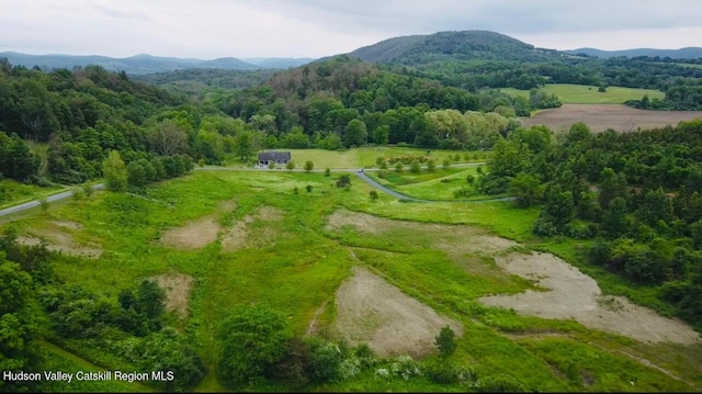 LOT4 Westerly Ridge Dr, Amenia, NY 12501