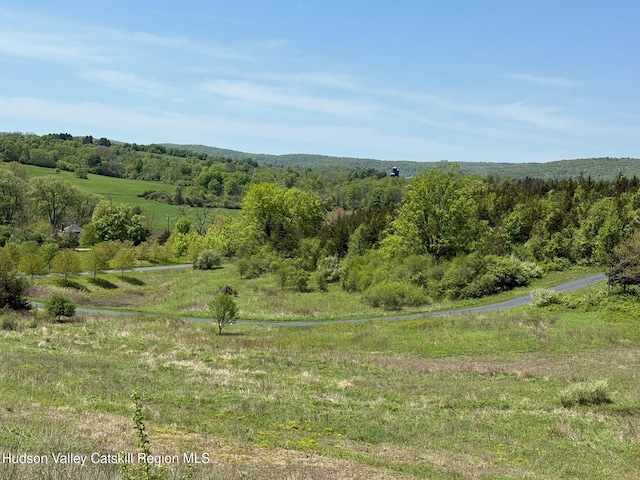 LOT4 Westerly Ridge Dr, Amenia, NY 12501
