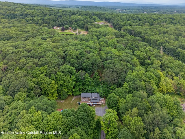 334 Pancake Hollow Rd, Highland, NY 12528 - photo 31