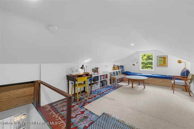 370 N Elting Corners Rd, Highland, NY 12528 - playroom featuring carpet and lofted ceiling