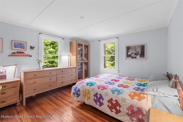 370 N Elting Corners Rd, Highland, NY 12528 - bedroom featuring dark wood-style flooring, ornamental molding, and multiple windows