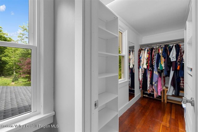 370 N Elting Corners Rd, Highland, NY 12528 - spacious closet with wood-type flooring