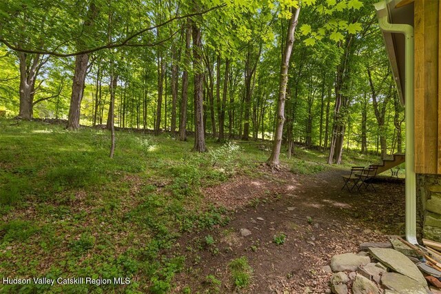 370 N Elting Corners Rd, Highland, NY 12528 - view of yard with stairs