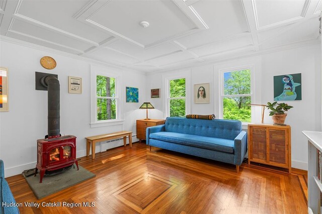 370 N Elting Corners Rd, Highland, NY 12528 - living area with coffered ceiling, a wood stove, and baseboard heating