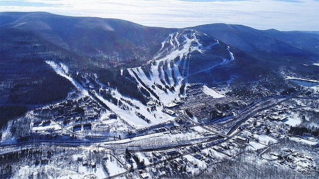 56 Highlands Dr Unit F-5, Hunter, NY 12442 - mountain view