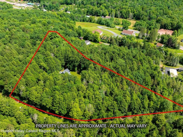 36 Mount Greenery Rd, Windham, NY 12496 - photo 58