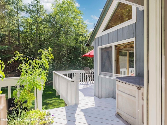 36 Mount Greenery Rd, Windham, NY 12496 - photo 39