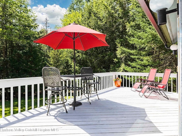 36 Mount Greenery Rd, Windham, NY 12496 - photo 36