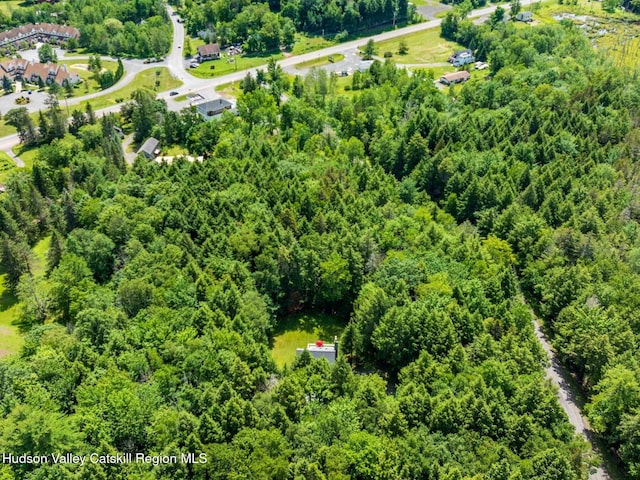 36 Mount Greenery Rd, Windham, NY 12496 - photo 57