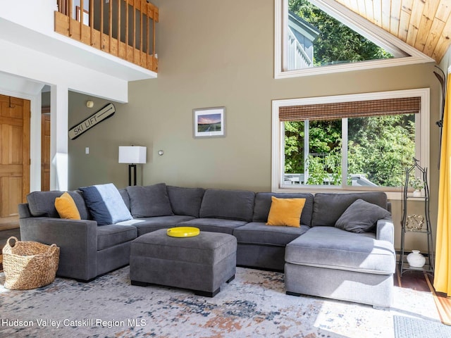 36 Mount Greenery Rd, Windham, NY 12496 - photo 16