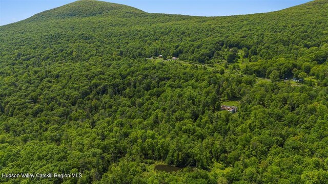 53 Freeman Avery Rd, Olivebridge, NY 12461 - photo 38