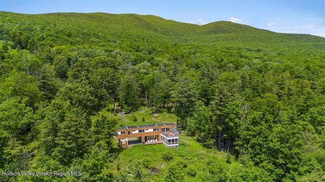 53 Freeman Avery Rd, Olivebridge, NY 12461 - photo 5