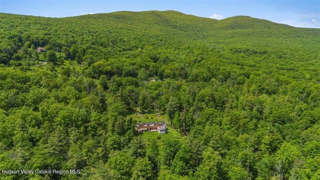 53 Freeman Avery Rd, Olivebridge, NY 12461 - photo 6
