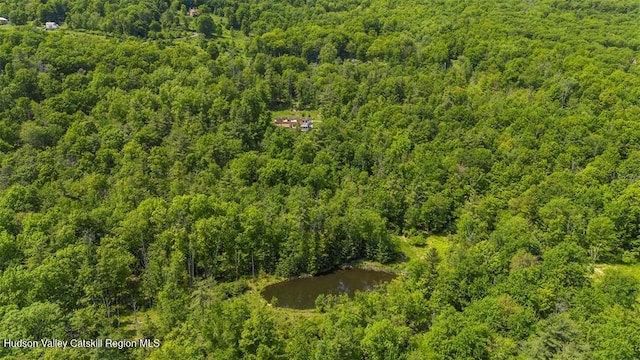 53 Freeman Avery Rd, Olivebridge, NY 12461 - photo 7