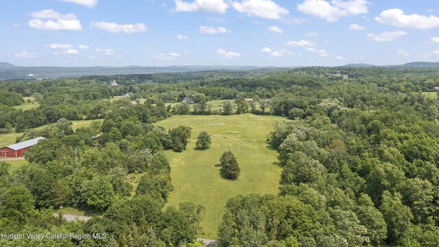 0 Round Top Rd, Germantown, NY 12526 - photo 9