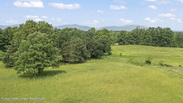 0 Round Top Rd, Germantown, NY 12526 - photo 2