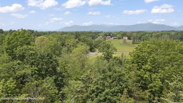 0 Round Top Rd, Germantown, NY 12526 - photo 10