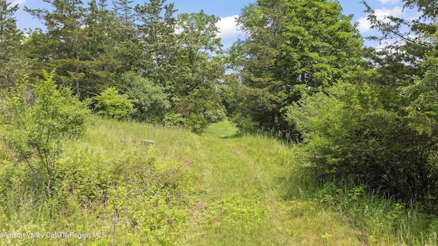 0 Round Top Rd, Germantown, NY 12526 - photo 11