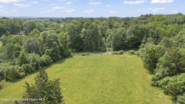 0 Round Top Rd, Germantown, NY 12526 - photo 5