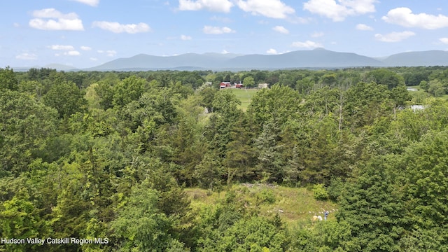 0 Round Top Rd, Germantown, NY 12526 - photo 7