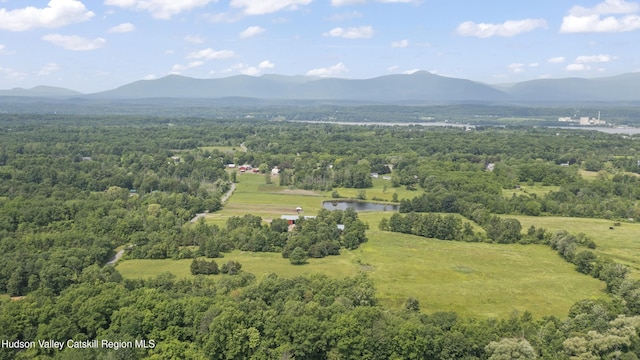 0 Round Top Rd, Germantown, NY 12526 - photo 4