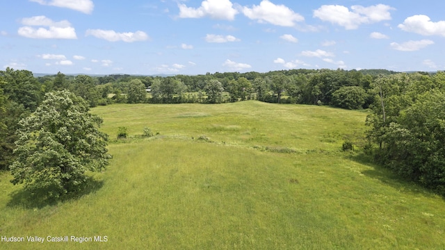 0 Round Top Rd, Germantown, NY 12526 - photo 6