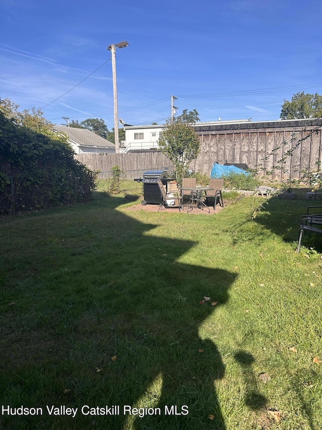 view of yard featuring a patio