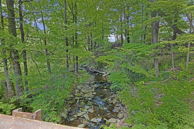 767 Cherrytown Rd, Kerhonkson, NY 12446 - photo 7