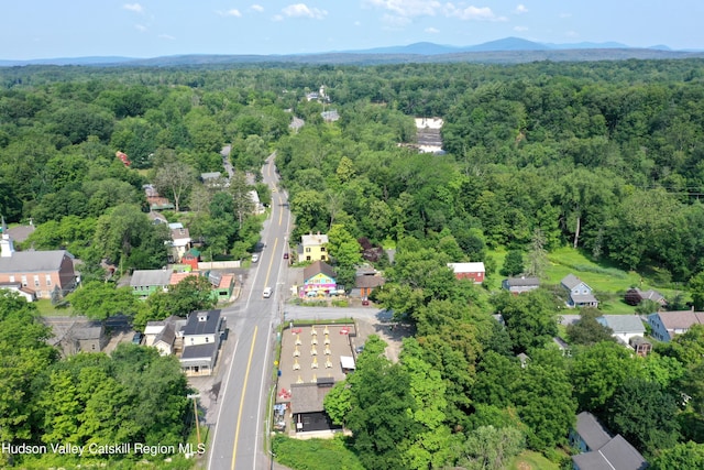 1300 State Route 213, High Falls, NY 12440 - photo 43