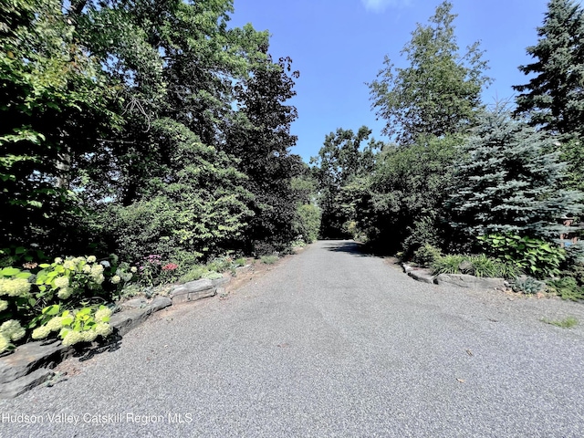 50 Manhattoes Dr, Athens, NY 12015 - view of asphalt street