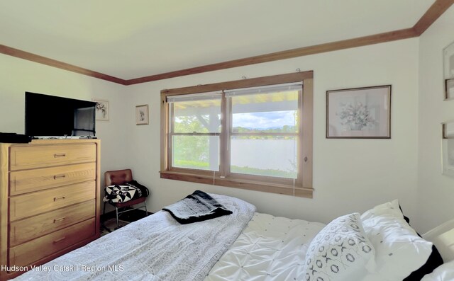 50 Manhattoes Dr, Athens, NY 12015 - bedroom featuring ornamental molding