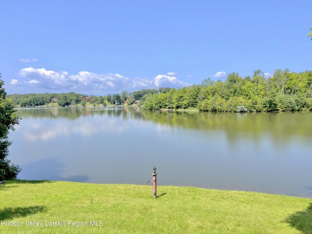 50 Manhattoes Dr, Athens, NY 12015 - water view featuring a heavily wooded area