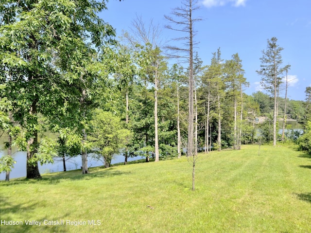 50 Manhattoes Dr, Athens, NY 12015 - view of grassy yard with a water view