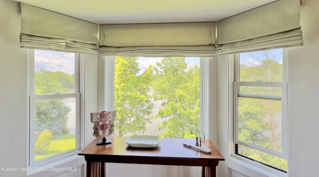 50 Manhattoes Dr, Athens, NY 12015 - office space featuring healthy amount of natural light