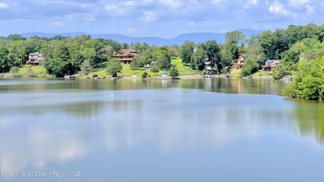 50 Manhattoes Dr, Athens, NY 12015 - water view with mountains