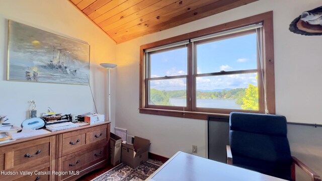 50 Manhattoes Dr, Athens, NY 12015 - office space featuring wood ceiling, lofted ceiling, and plenty of natural light
