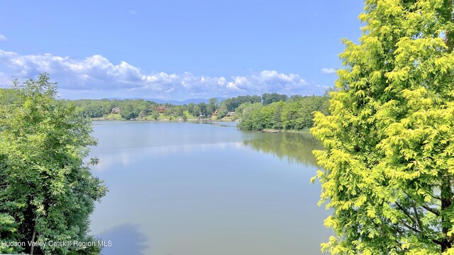 50 Manhattoes Dr, Athens, NY 12015 - water view with a forest